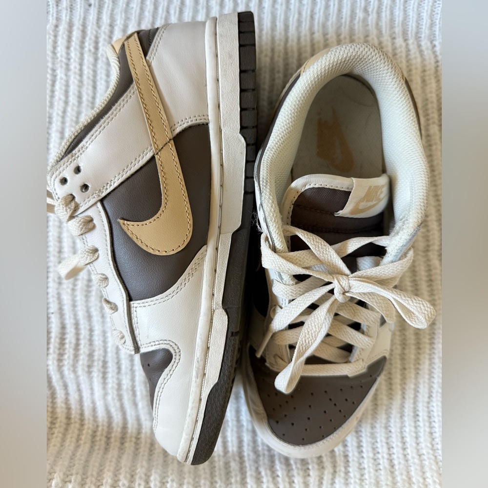 Nike Low Dunks in Brown & Tan